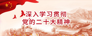 ����ѧϰ�᳹��ʮ��