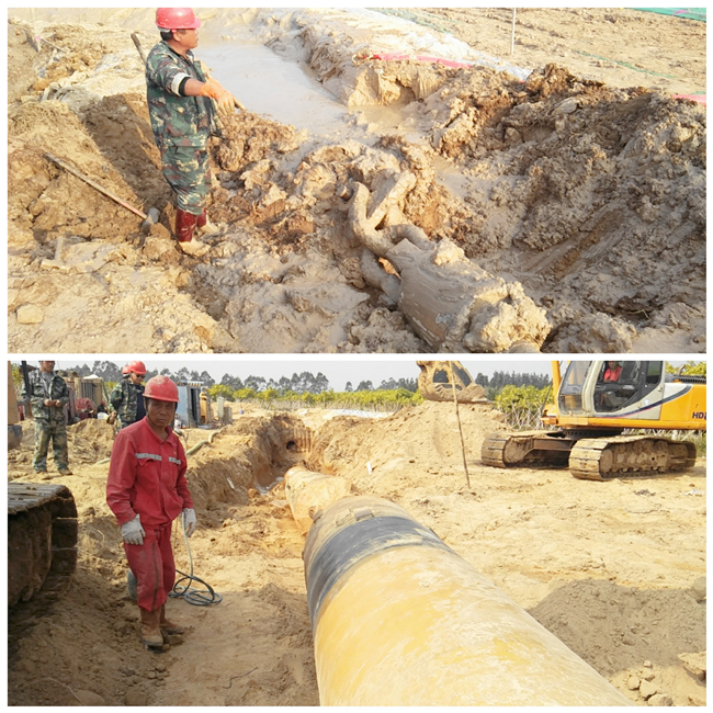 ������(btt)����-918������,���������