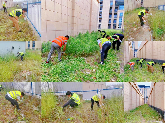 ������(btt)����-918������,���������