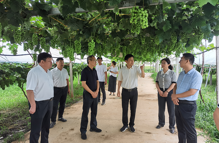 ������(btt)����-918������,���������